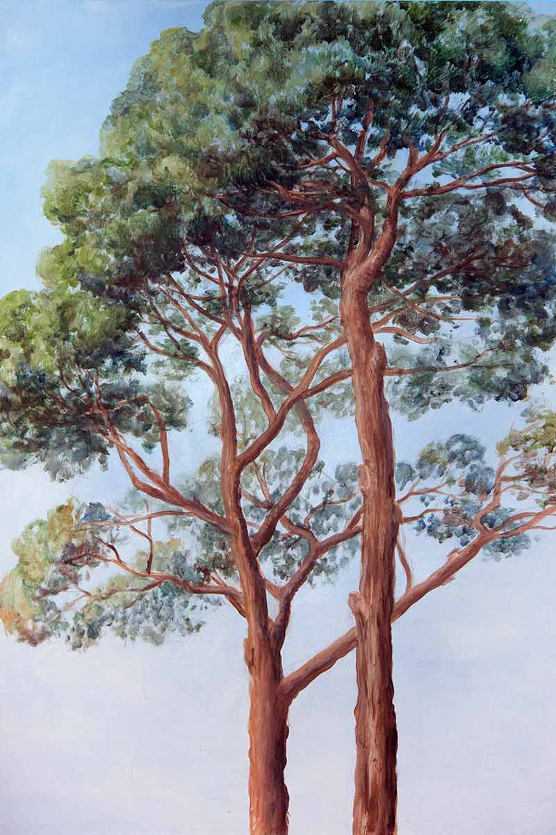 Bild: Seminare Wie male ich Bäume Bilder 1